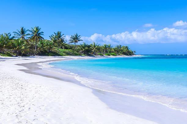 Chill Spot Villa Ceiba Luaran gambar